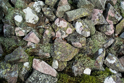 Lichen communities - upland saxicolous in Cheviots, Janet Simkin