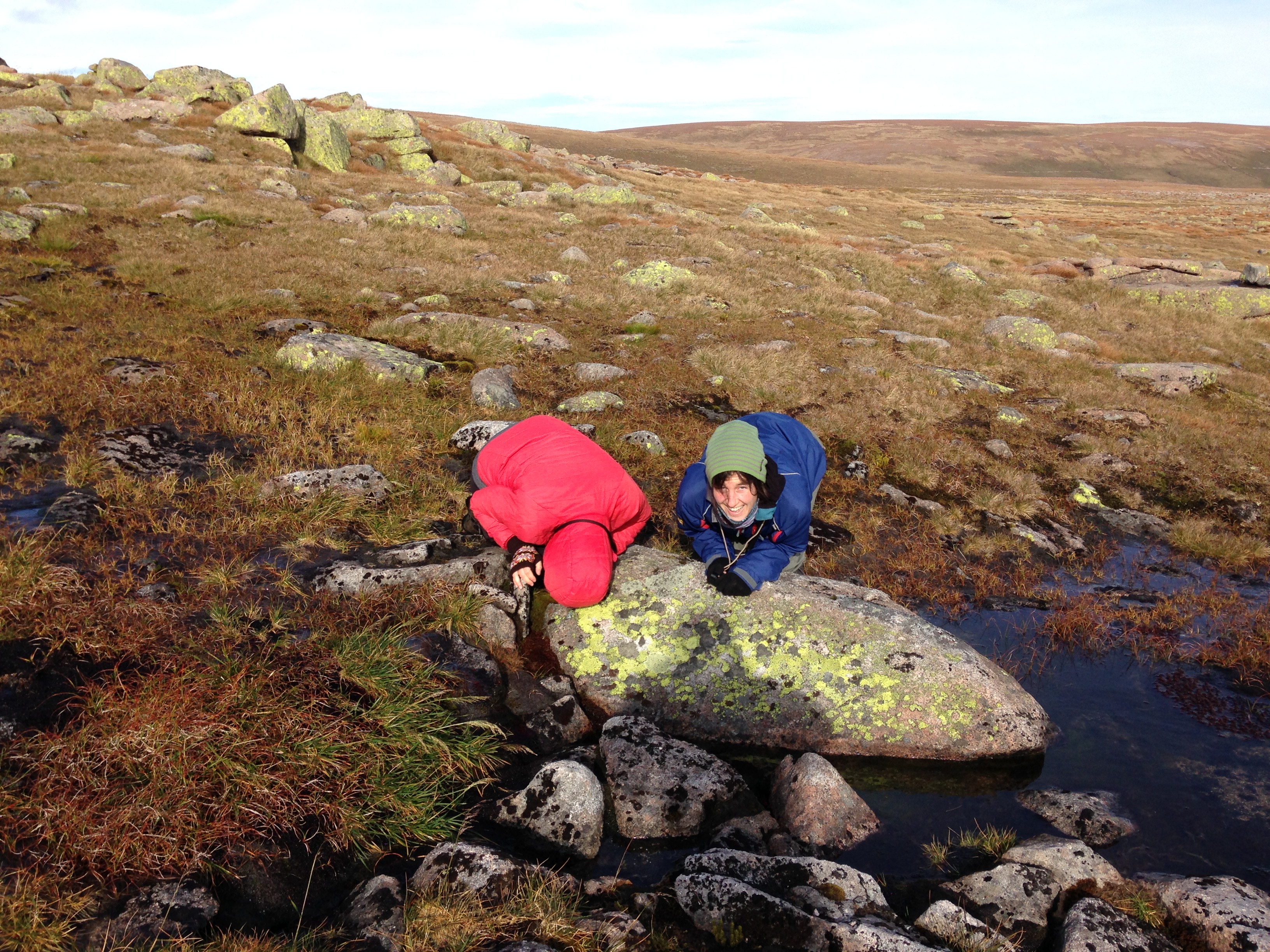 student lichenologists