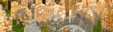 Churchyard Lichens