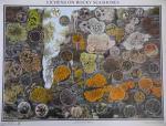 Wall Chart - Lichens of Rocky Seashores