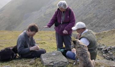 Lichen Hunting in Mid-Wales - © Alan D. Hale