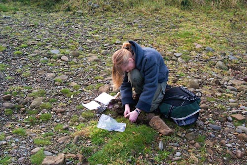 A student at work on lichen-rich grassland © Janet Simkin