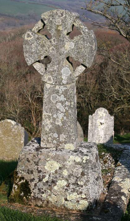 Granite Celtic cross with leafy and crustose lichens
