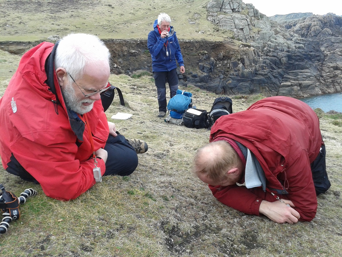 Holger Thüs, Paul Cannon and Graham Boswell. Holger is counting Heterodermia on Bryher. (c) Fay Newbery