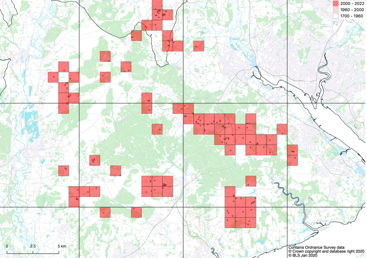 Cladonia zopfii distribution New Forest