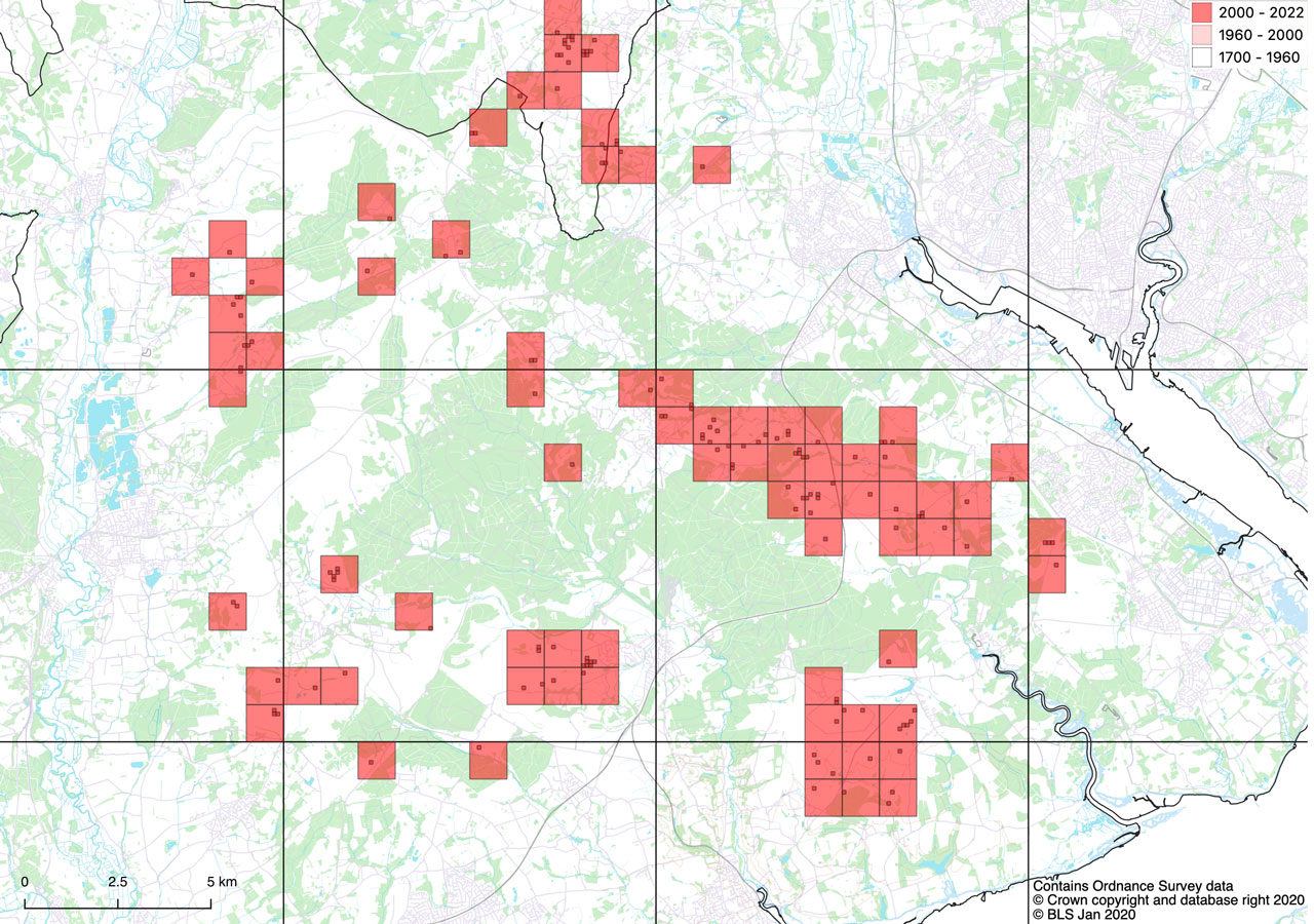 Cladonia zopfii the detailed distribution in the New Forest. It is most abundant where grazing is more intense Cladonia zopfii distribution New Forest