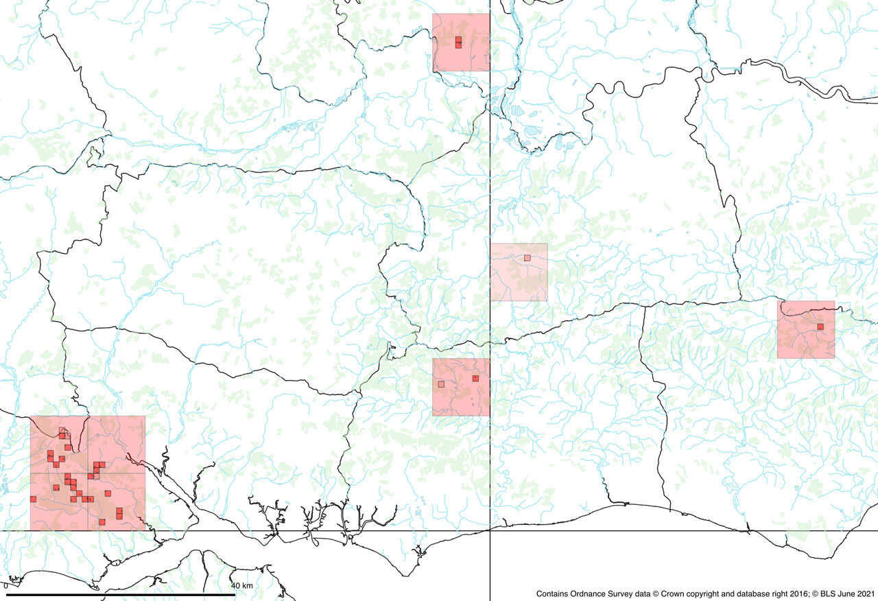 Scutula circumspecta in south east England (darker red post 2000, lighter red pre 2000), from Sanderson (2021) Scutula circumspecta in south east England