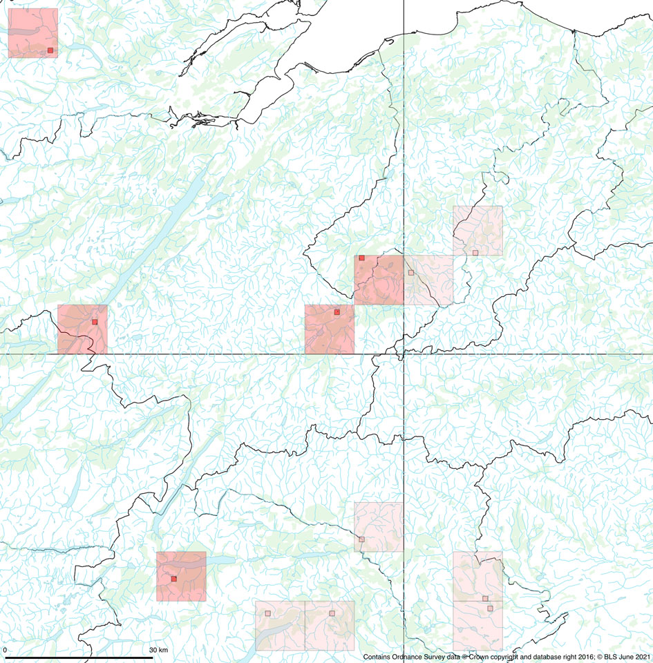 Scutula circumspecta in Scotland (darker red post 2000, lighter red pre 2000), from Sanderson (2021) Scutula circumspecta in Scotland