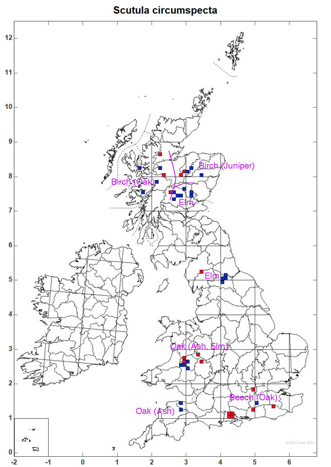 Habitat across Britain, main tree in area indicated, subsidiary trees in brackets, from Sanderson (2021) Habitat across Britain, from Sanderson (2021)